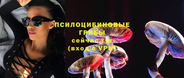 амф Снежногорск