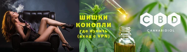 ГАЛЛЮЦИНОГЕННЫЕ ГРИБЫ Лихославль