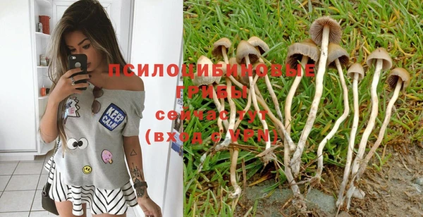дживик Липки