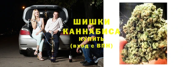 ГАЛЛЮЦИНОГЕННЫЕ ГРИБЫ Лихославль