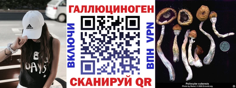 Галлюциногенные грибы Cubensis  дарнет шоп  мориарти состав  Снежногорск 